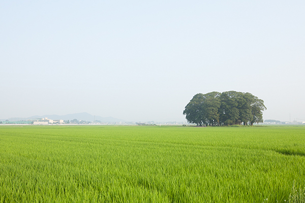 風土・地域　イメージ